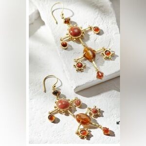 Soft surroundings eye of the tiger earring